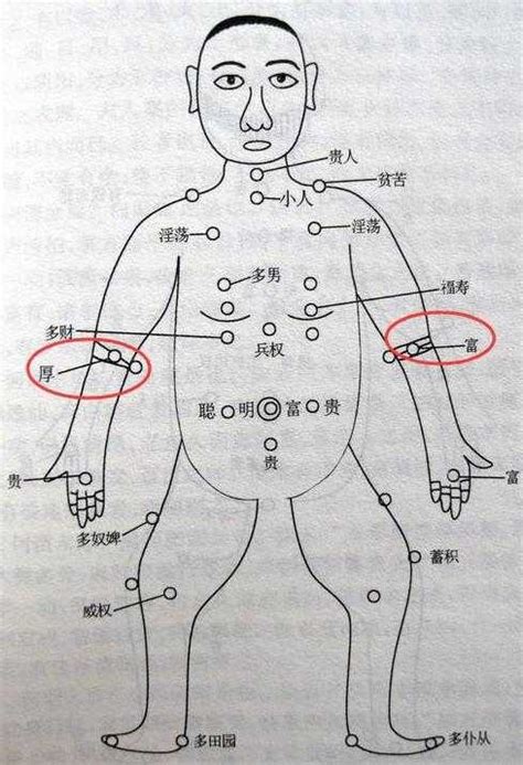 手上胎記|【手上有胎記】手上有胎記註定富貴？解析胎記位置與命運的神秘。